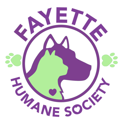 Volunteer with our Animal Rescue Team  The Humane Society of the United  States