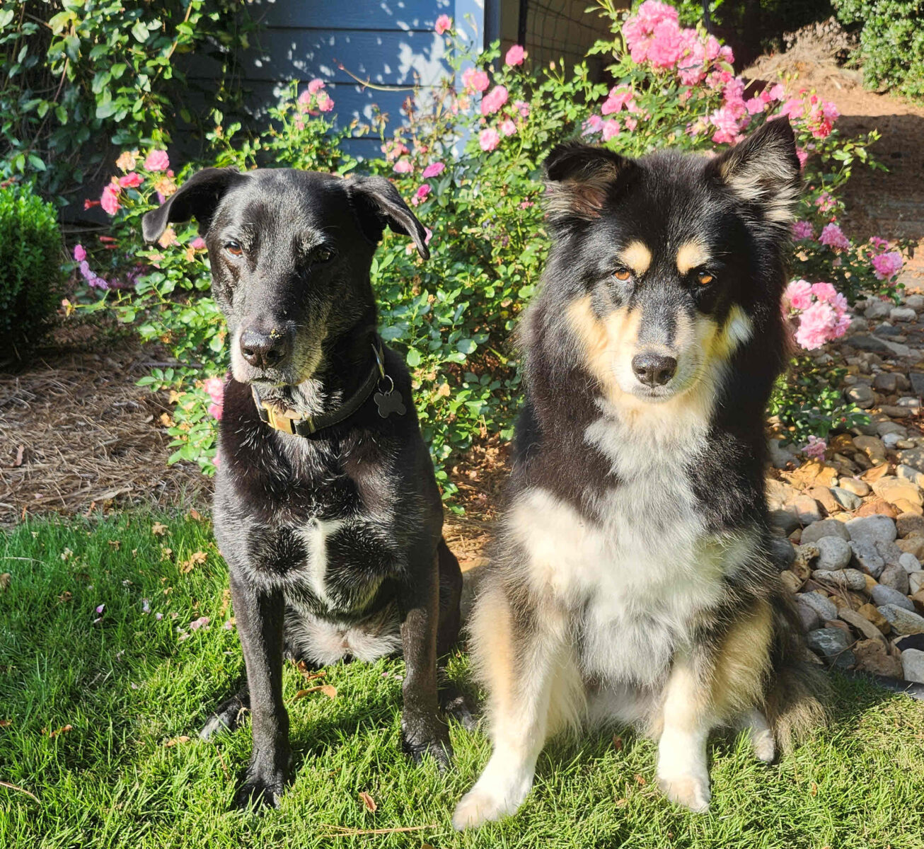 Macke_Kelce and Ciara_cropped