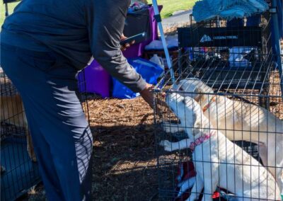 Fore the Paws 2026