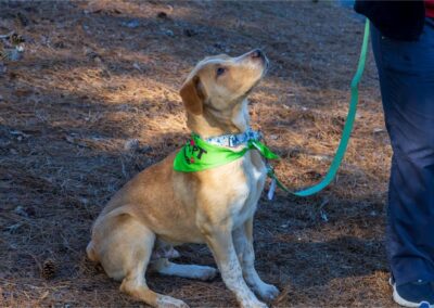 Fore the Paws 2026