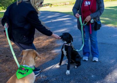 Fore the Paws 2026