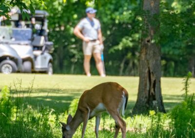 Fore the Paws 2026