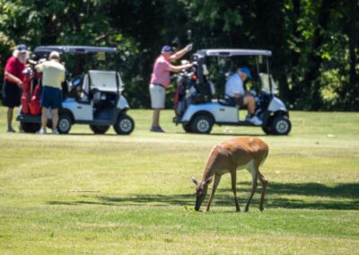 Fore the Paws 2026