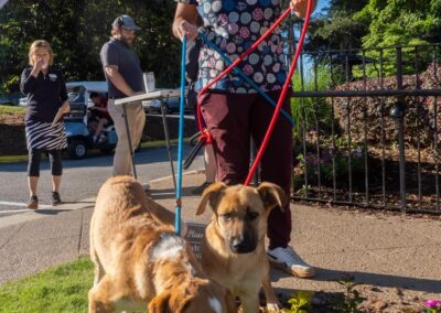 Fore the Paws 2026