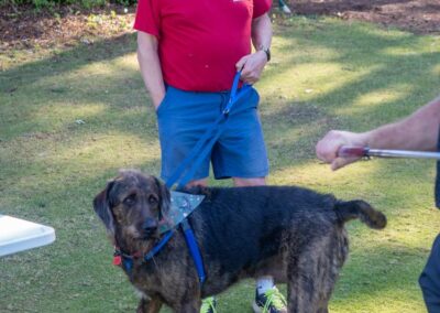 Fore the Paws 2026