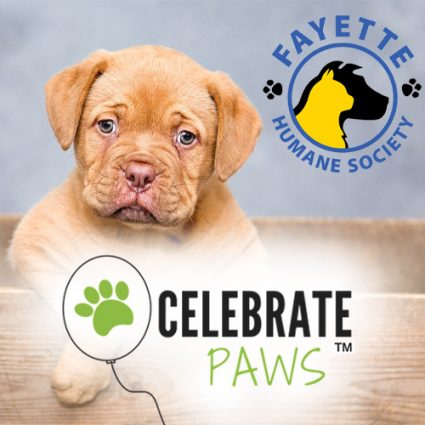 celebratepaws