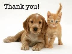 thank-you-dog-and-cat